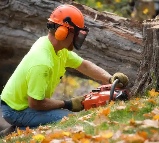 tree services Walker Lake